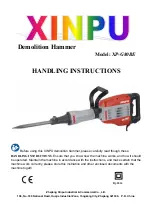 Xinpu XP-G80BE Handling Instructions Manual preview