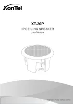 XONTEL XT-20P User Manual preview