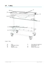 Preview for 10 page of XVIVO 11.01.201 Instructions For Use Manual