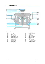 Preview for 11 page of XVIVO 11.01.201 Instructions For Use Manual