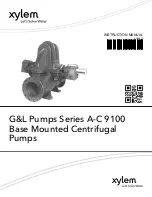 Xylem G&L A-C 9100 Series Instruction Manual предпросмотр