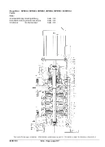 Предварительный просмотр 111 страницы Xylem Lowara  MPV 100.2 Installation, Operation And Maintenance Instructions