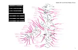 Preview for 3 page of Yaesu FT-817 - Technical Supplement