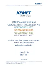 Yageo KEMET USEQMSKS221600 User Manual preview