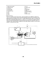 Предварительный просмотр 31 страницы Yamaha 2007 FZ6-N Service Manual