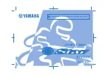 Yamaha 2009 XV250Y Owner'S Manual preview