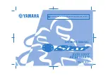 Preview for 1 page of Yamaha 2009 XVS1100AY Owner'S Manual