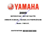 Yamaha 2009 YW125Y Owner'S Manual предпросмотр