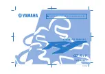 Yamaha 2009 YZF-R1Y Owner'S Manual preview