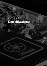 Предварительный просмотр 139 страницы Yamaha AS1000 - Amplifier Owner'S Manual