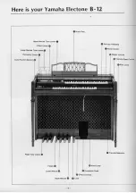 Предварительный просмотр 5 страницы Yamaha B-12 Playing Manual