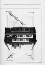 Preview for 6 page of Yamaha B-12 Playing Manual