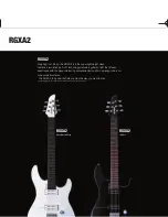 Preview for 12 page of Yamaha BB NE2 Brochure