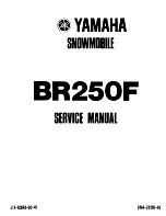 Yamaha BR250F Service Manual preview