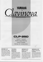 Yamaha Clavinova CLP-250 Owner'S Manual preview