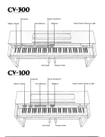 Предварительный просмотр 2 страницы Yamaha Clavinova CV-300 Owner'S Manual