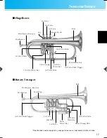 Preview for 5 page of Yamaha Cornet Owner'S Manual