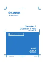 Yamaha diversion F Owner'S Manual preview