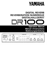 Yamaha DR100 (French) Manuel De Fonctionnement предпросмотр