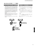 Предварительный просмотр 43 страницы Yamaha DSP-AX559 Service Manual