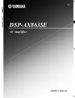 Yamaha DSP-AX863SE Owner'S Manual предпросмотр