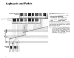 Предварительный просмотр 7 страницы Yamaha Electone 205D User Manual