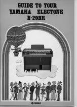 Yamaha Electone B-20BR User Manual preview