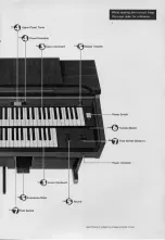 Предварительный просмотр 5 страницы Yamaha Electone B-40 User Manual