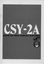 Yamaha Electone CSY-2A User Manual предпросмотр