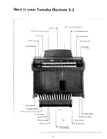 Предварительный просмотр 5 страницы Yamaha Electone E-3 Manual