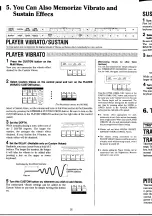 Предварительный просмотр 30 страницы Yamaha Electone MC-200 User Manual