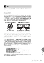 Предварительный просмотр 187 страницы Yamaha Electone STAGEA ELB-02 Owner'S Manual