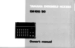 Yamaha EM-100 Owner'S Manual preview