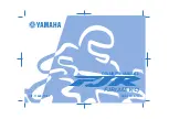 Preview for 1 page of Yamaha FJR13AEV(C) Owner'S Manual