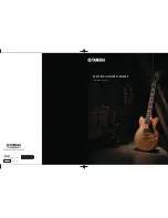 Preview for 1 page of Yamaha PAC012DLX Brochure