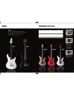 Preview for 6 page of Yamaha PAC012DLX Brochure