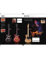 Preview for 9 page of Yamaha PAC012DLX Brochure