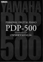 Preview for 1 page of Yamaha PDP-500 Owner'S Manual