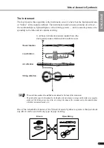 Preview for 7 page of Yamaha PLG100-VL Owner'S Manual