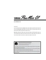 Preview for 2 page of Yamaha ProMix 01 Owner'S Manual