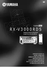 Preview for 1 page of Yamaha RX-V3000RDS Owner'S Manual