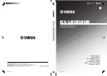 Yamaha RX-V800RDS Owner'S Manual preview