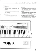 Preview for 5 page of Yamaha SK-15 Operating Manual