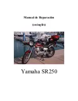 Yamaha SR250 Repair Manual preview