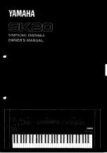 Preview for 1 page of Yamaha Symphonic Ensemble SK20 Owner'S Manual