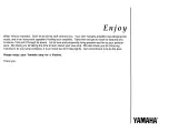 Предварительный просмотр 27 страницы Yamaha T-100 Owner'S Manual And User'S Manual