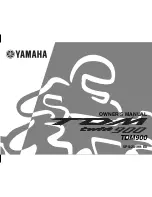 Yamaha TDM TWIN 900 Owner'S Manual предпросмотр