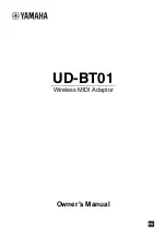 Yamaha UD-BT01 Owner'S Manual preview