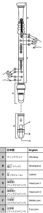 Предварительный просмотр 2 страницы Yamaha VCJ5740 User Manual