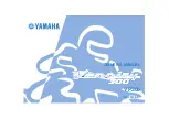 Yamaha VERSITY 300 VP300 Owner'S Manual preview